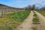 Les hauts de Bissey