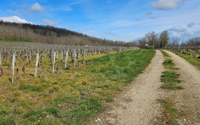 Randonnée Les Pies Jacasses