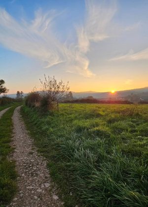 Bissey-sous-cruchaud 71